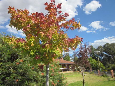 Bridgetown Valley Lodge - Accommodation ACT 40