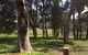 Tegwan's Nest Holiday Home - thumb 28