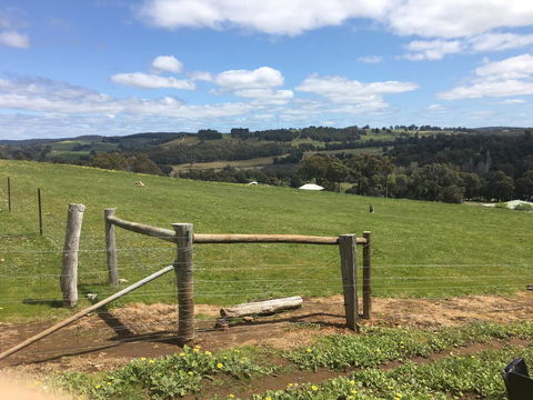 Tegwan's Nest Holiday Home - Accommodation ACT 39