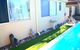 Palms Bed & Breakfast - thumb 19