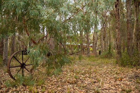 Denmark Forest Retreat - Accommodation ACT 5