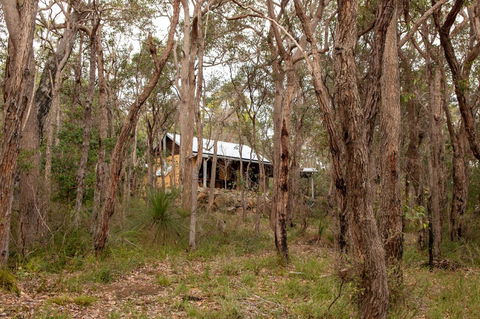 Denmark Forest Retreat - Accommodation ACT 27