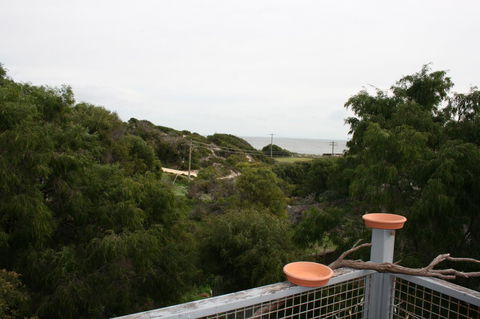 Peppy Beach Ocean Views - Accommodation ACT 8