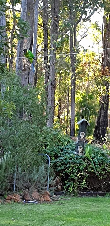 Di's Cabin In Dwellingup - Accommodation ACT 6