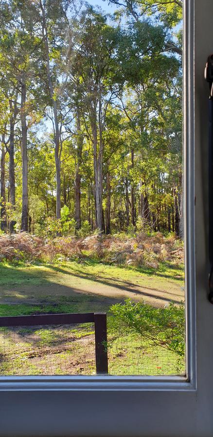 Di's Cabin In Dwellingup - Accommodation ACT 2