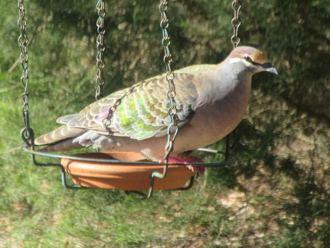 Di's Cabin In Dwellingup - Accommodation ACT 25