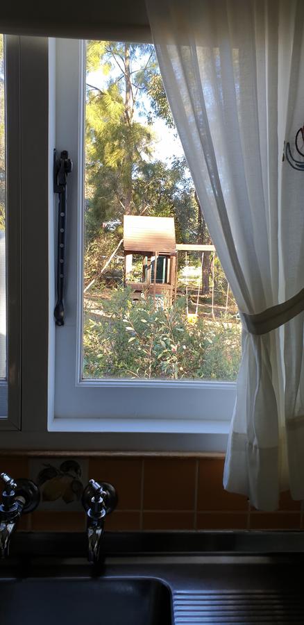 Di's Cabin In Dwellingup - Accommodation ACT 15