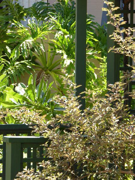 Kalbarri Beach Resort - Accommodation ACT 32
