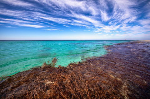 Discovery Resorts - Rottnest Island - Accommodation ACT 24