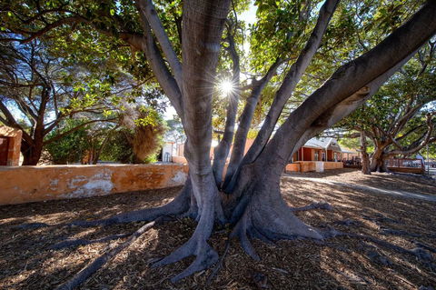 Discovery Resorts - Rottnest Island - Accommodation ACT 23