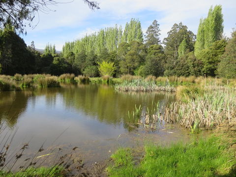 Giants Table And Cottages - Accommodation ACT 25