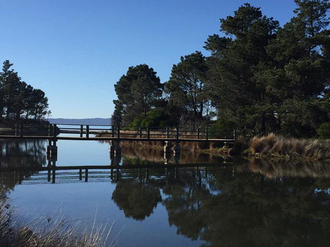 Swansea Holiday Park Tasmania - Accommodation ACT 41