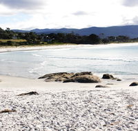 Mermaids of Bicheno - Accommodation ACT