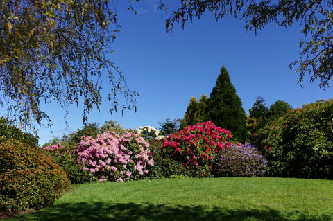 Highgrove - Accommodation ACT 15