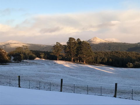 Highgrove - Accommodation ACT 26