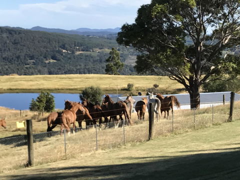 Highgrove - Accommodation ACT 25