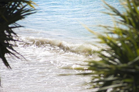 Noosa Court 6 - Accommodation ACT 2