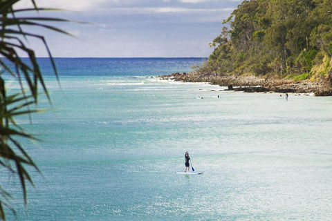 Noosa Court 6 - Accommodation ACT 1