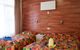 Norfolk Pine Motel - thumb 3
