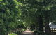 Oak Lane Guest House & Farm Stay - thumb 0