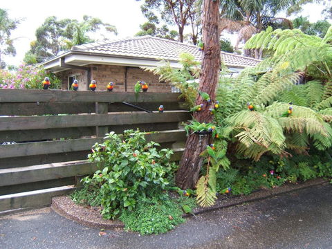 Ocean Drive Apartments - Accommodation ACT 3