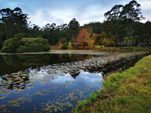OCT Forest Lodge - Accommodation ACT 2