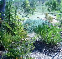 Old Miners' Cottages Bed and Breakfast - Accommodation ACT