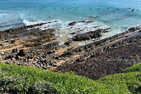 Pandanus - Accommodation ACT 1