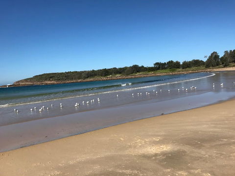 Peaceful, Relaxing With Amazing Water Views - Accommodation ACT 1
