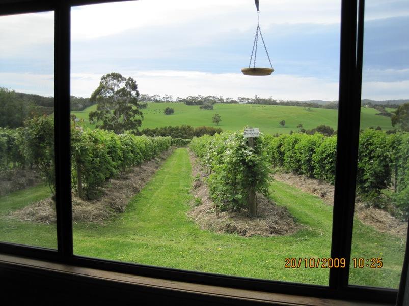 Whoorel ACT Accommodation ACT