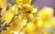 Pichi Richi Park - thumb 3