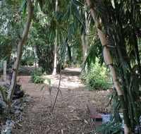 Rainforest Water Front River Shack Secluded. - Accommodation ACT