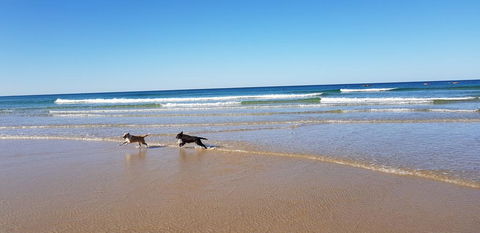 Red Door Beach House - Marcoola Beach - PET FRIENDLY, FOXTEL, WIFI, 500 BOND, Linen Supplied - Accommodation ACT 1