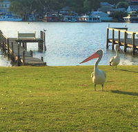 Riverfront Getaway - Mannum - Accommodation ACT