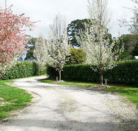 Robin Hill Manor - rambling retreat  tennis court - Accommodation ACT