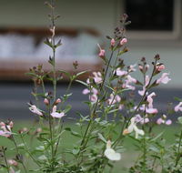 Serendipity on Allyn - Accommodation ACT