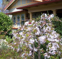 Shelton-Lea Bed  Breakfast - Accommodation ACT