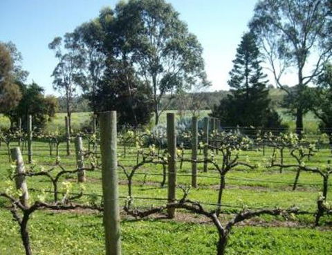 Southern Vales Bed & Breakfast - Accommodation ACT 1