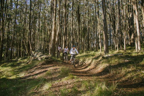 Spicers Peak Lodge - Accommodation ACT 3