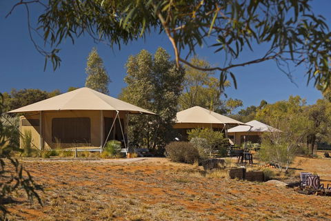 Squeakywindmill Boutique Tent B&B - Accommodation ACT 0