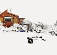 STUNNING HOME WITH AMAZING VIEWS - just 20 mins to the city and only 10 to MONA - Accommodation ACT
