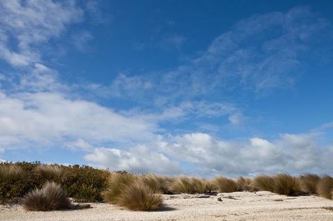 Pearl Hawley Beach - Accommodation ACT 37