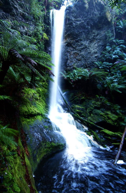 Corinna Wilderness Village - Accommodation ACT 40