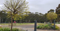 Book Lebrina Accommodation Vacations Accommodation ACT Accommodation ACT