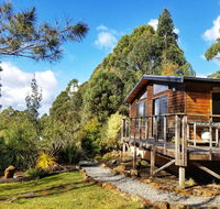 Southern Forest Accommodation - Accommodation ACT