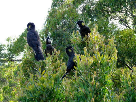 Eagles Rise Tasmania - Accommodation ACT 10
