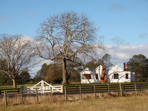 Buttons Cottage For Canyon & Rain Forest Walks With In House Dining - Accommodation ACT 7