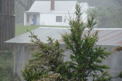 Buttons Cottage For Canyon & Rain Forest Walks With In House Dining - Accommodation ACT 9