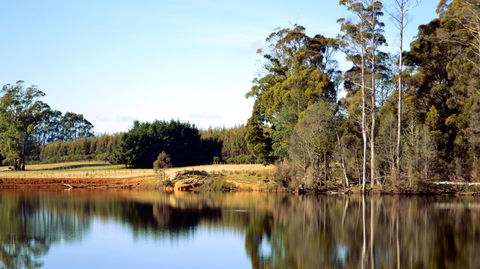 Buttons Cottage For Canyon & Rain Forest Walks With In House Dining - Accommodation ACT 29