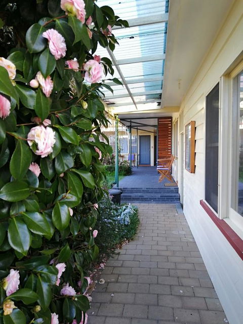 Wintersun Gardens Motel - Accommodation ACT 5
